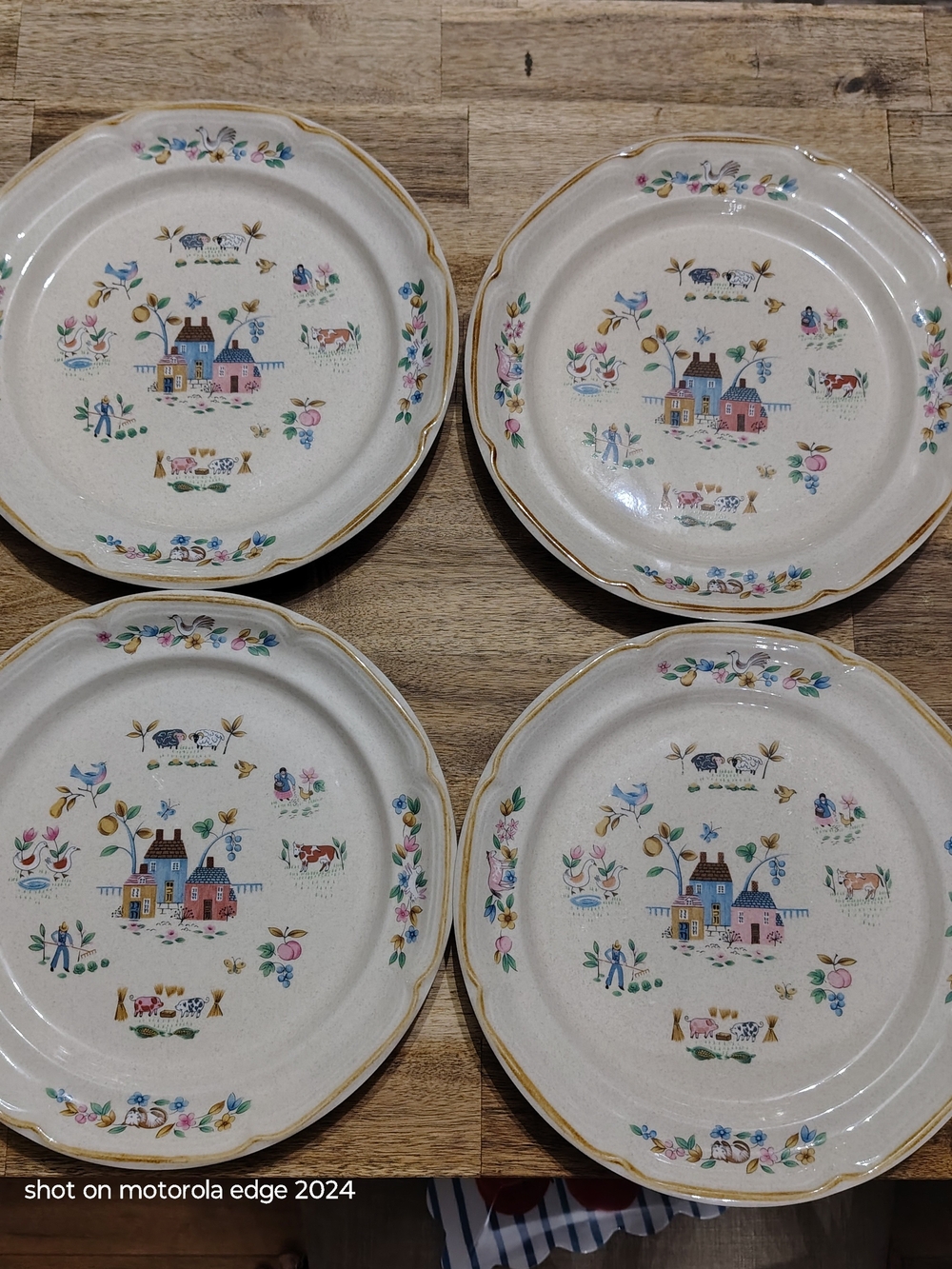 VTG Intenational Heartland Cottagecore Dinner Plates Set Of 4 #7774 10.75"
